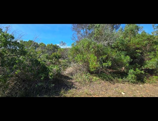 LAND FOR SALE IN GROOT BRAKRIVIER CENTRAL